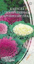Thumb kapusta dekorativnaya krupnolistnaya 28181817465358