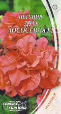 Thumb petuniya makhrovaya duo lososevaya f1 23390571980012