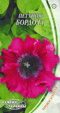 Thumb petuniya prevoskhodnaya bordo f1 97887064309583
