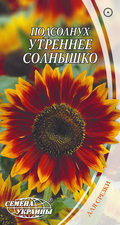 Thumb podsolnukh dekorativnyy utrennee solnyshko 55082752431432