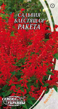 Thumb salviya blestyashchaya raketa 63035549264815